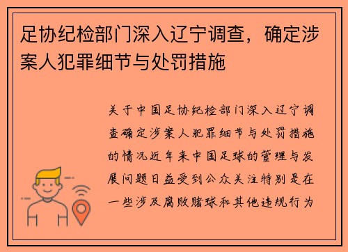 足协纪检部门深入辽宁调查，确定涉案人犯罪细节与处罚措施