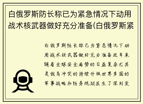 白俄罗斯防长称已为紧急情况下动用战术核武器做好充分准备(白俄罗斯紧张局势)