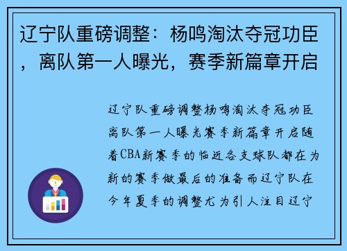 辽宁队重磅调整：杨鸣淘汰夺冠功臣，离队第一人曝光，赛季新篇章开启