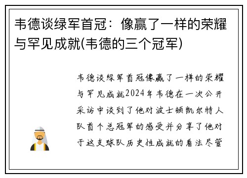 韦德谈绿军首冠：像赢了一样的荣耀与罕见成就(韦德的三个冠军)